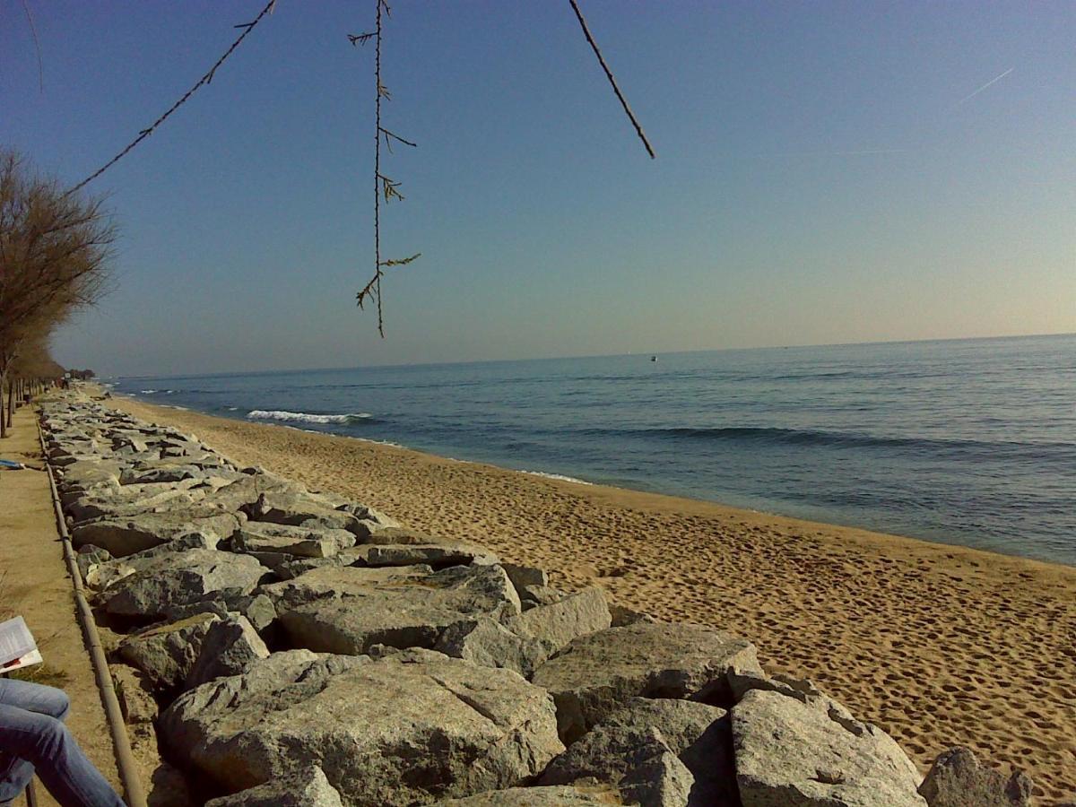 Tata'S House, Junto Playa Y Barcelona Centro Daire El El Masnou Dış mekan fotoğraf